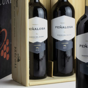Foto de Decanter reconoce los vinos de Bodegas Pascual